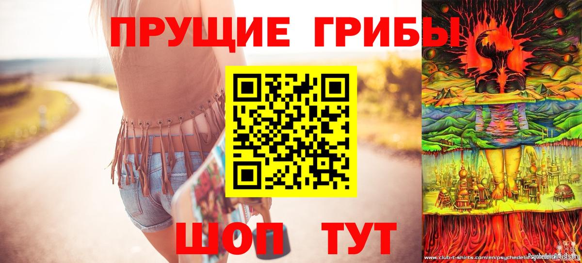 Псилоцибиновые грибы Psilocybine cubensis Красногорск